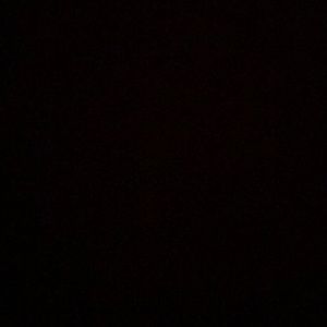 Meet your Posher, Carter